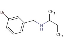 (3-bromobenzyl)sec-butylamine (3-bromobenzyl)sec-butylamine