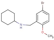 (5-bromo-2-methoxybenzyl)cyclohexylamine (5-bromo-2-methoxybenzyl)cyclohexylamine