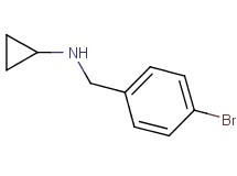 (4-bromobenzyl)cyclopropylamine (4-bromobenzyl)cyclopropylamine