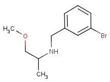 (3-bromobenzyl)(2-methoxy-1-methylethyl)amine (3-bromobenzyl)(2-methoxy-1-methylethyl)amine