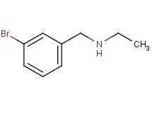 (3-bromobenzyl)ethylamine (3-bromobenzyl)ethylamine