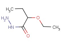 2-ethoxybutanohydrazide 2-ethoxybutanohydrazide