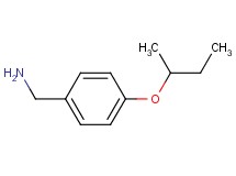 (4-sec-butoxybenzyl)amine (4-sec-butoxybenzyl)amine