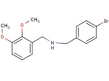 (4-bromobenzyl)(2,3-dimethoxybenzyl)amine (4-bromobenzyl)(2,3-dimethoxybenzyl)amine