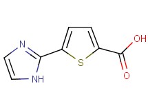 5-(1H-imidazol-2-yl)thiophene-2-carboxylic acid 5-(1H-imidazol-2-yl)thiophene-2-carboxylic acid