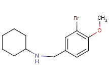 (3-bromo-4-methoxybenzyl)cyclohexylamine (3-bromo-4-methoxybenzyl)cyclohexylamine