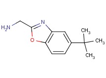 1-(5-tert-butyl-1,3-benzoxazol-2-yl)methanamine 1-(5-tert-butyl-1,3-benzoxazol-2-yl)methanamine