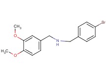 (4-bromobenzyl)(3,4-dimethoxybenzyl)amine (4-bromobenzyl)(3,4-dimethoxybenzyl)amine
