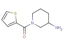 1-(2-thienylcarbonyl)-3-piperidinamine 1-(2-thienylcarbonyl)-3-piperidinamine