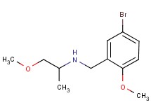 (5-bromo-2-methoxybenzyl)(2-methoxy-1-methylethyl)amine (5-bromo-2-methoxybenzyl)(2-methoxy-1-methylethyl)amine