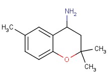 (2,2,6-trimethyl-3,4-dihydro-2H-chromen-4-yl)amine (2,2,6-trimethyl-3,4-dihydro-2H-chromen-4-yl)amine