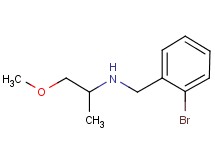 (2-bromobenzyl)(2-methoxy-1-methylethyl)amine (2-bromobenzyl)(2-methoxy-1-methylethyl)amine
