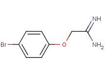 2-(4-bromophenoxy)ethanimidamide 2-(4-bromophenoxy)ethanimidamide