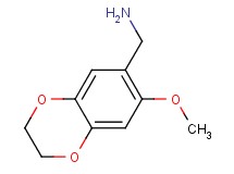 1-(7-methoxy-2,3-dihydro-1,4-benzodioxin-6-yl)methanamine 1-(7-methoxy-2,3-dihydro-1,4-benzodioxin-6-yl)methanamine