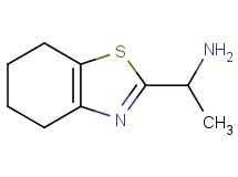 1-(4,5,6,7-tetrahydro-1,3-benzothiazol-2-yl)ethanamine 1-(4,5,6,7-tetrahydro-1,3-benzothiazol-2-yl)ethanamine