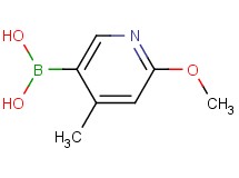 (6-methoxy-4-methyl-3-pyridinyl)boronic acid (6-methoxy-4-methyl-3-pyridinyl)boronic acid
