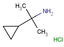 (1-cyclopropyl-1-methylethyl)amine hydrochloride