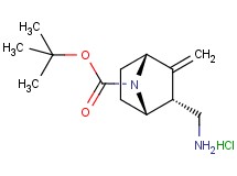 tert-butyl rac-(1S,2R,4R)-2-(aminomethyl)-3-methylene-7-azabicyclo[2.2.1]heptane-7-carboxylate hydrochloride