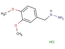 (3,4-dimethoxybenzyl)hydrazine hydrochloride