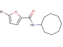 5-bromo-N-cyclooctyl-2-furamide