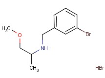 N-(3-bromobenzyl)-1-methoxy-2-propanamine hydrobromide