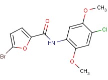 5-bromo-N-(4-chloro-2,5-dimethoxyphenyl)-2-furamide