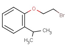 1-(2-bromoethoxy)-2-isopropylbenzene 1-(2-bromoethoxy)-2-isopropylbenzene