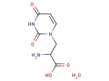 3-(2,4-dioxo-3,4-dihydro-1(2H)-pyrimidinyl)alanine hydrate 3-(2,4-dioxo-3,4-dihydro-1(2H)-pyrimidinyl)alanine hydrate