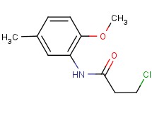 3-chloro-N-(2-methoxy-5-methylphenyl)propanamide 3-chloro-N-(2-methoxy-5-methylphenyl)propanamide