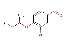 4-sec-butoxy-3-chlorobenzaldehyde 4-sec-butoxy-3-chlorobenzaldehyde