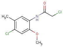2-chloro-N-(4-chloro-2-methoxy-5-methylphenyl)acetamide 2-chloro-N-(4-chloro-2-methoxy-5-methylphenyl)acetamide