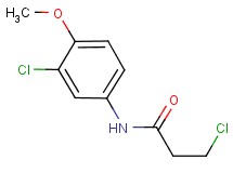 3-chloro-N-(3-chloro-4-methoxyphenyl)propanamide 3-chloro-N-(3-chloro-4-methoxyphenyl)propanamide