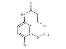 3-chloro-N-(4-chloro-3-methoxyphenyl)propanamide 3-chloro-N-(4-chloro-3-methoxyphenyl)propanamide
