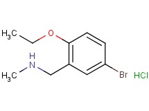 (5-bromo-2-ethoxybenzyl)methylamine hydrochloride (5-bromo-2-ethoxybenzyl)methylamine hydrochloride