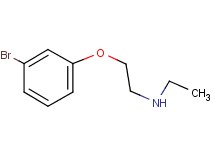 [2-(3-bromophenoxy)ethyl]ethylamine hydrochloride