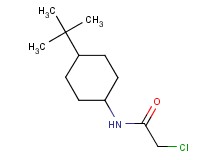 N-(4-tert-butylcyclohexyl)-2-chloroacetamide N-(4-tert-butylcyclohexyl)-2-chloroacetamide
