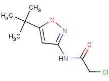 N-(5-tert-butyl-3-isoxazolyl)-2-chloroacetamide N-(5-tert-butyl-3-isoxazolyl)-2-chloroacetamide