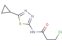 3-chloro-N-(5-cyclopropyl-1,3,4-thiadiazol-2-yl)propanamide 3-chloro-N-(5-cyclopropyl-1,3,4-thiadiazol-2-yl)propanamide