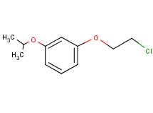 1-(2-chloroethoxy)-3-isopropoxybenzene 1-(2-chloroethoxy)-3-isopropoxybenzene