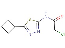 2-chloro-N-(5-cyclobutyl-1,3,4-thiadiazol-2-yl)acetamide 2-chloro-N-(5-cyclobutyl-1,3,4-thiadiazol-2-yl)acetamide